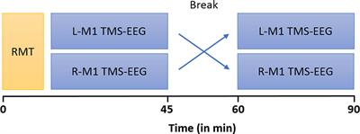 Cortical Excitability and Interhemispheric Connectivity in Early Relapsing–Remitting Multiple Sclerosis Studied With TMS-EEG